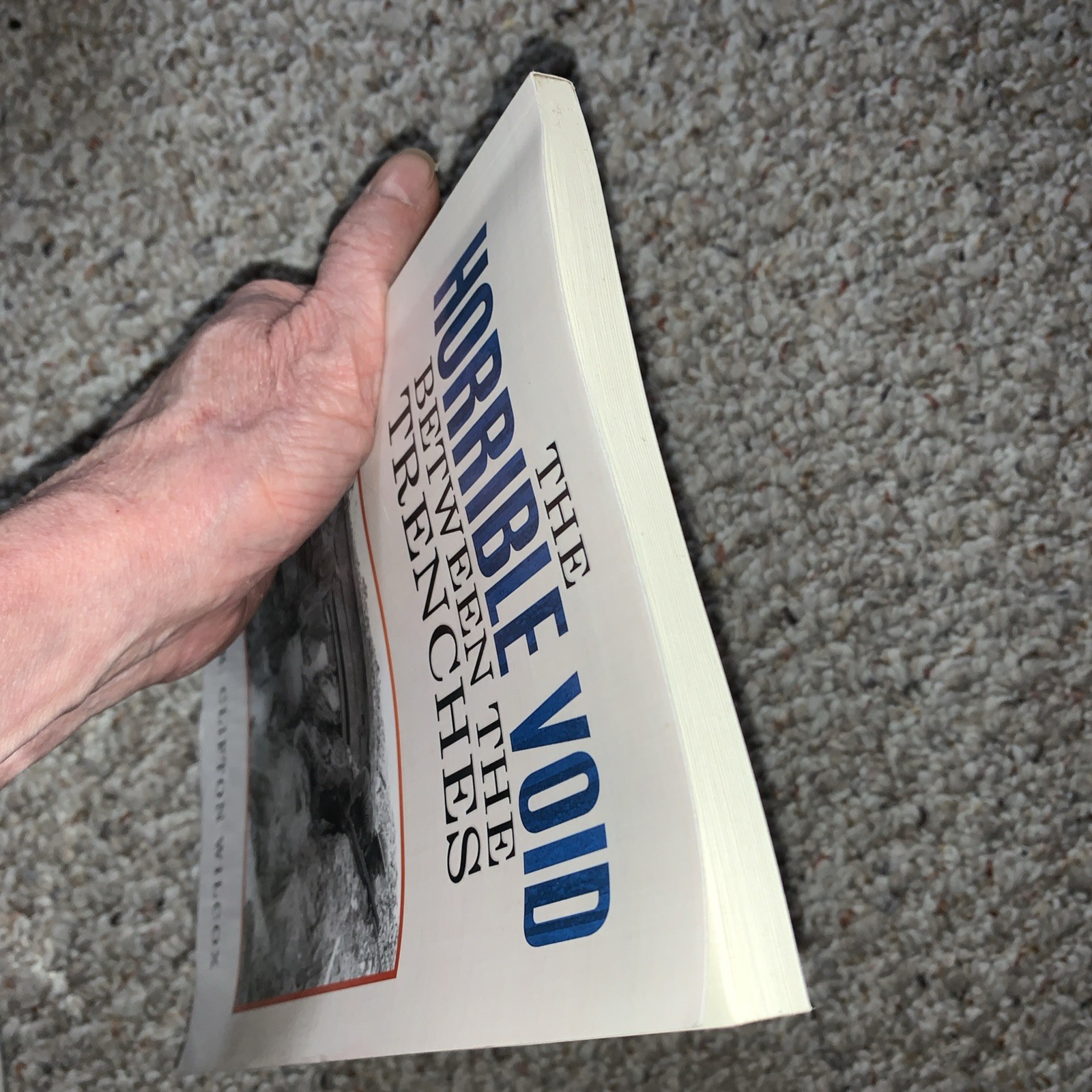Horrible Void Between the Trenches by Clifton Wilcox (2015, Trade Paperback)