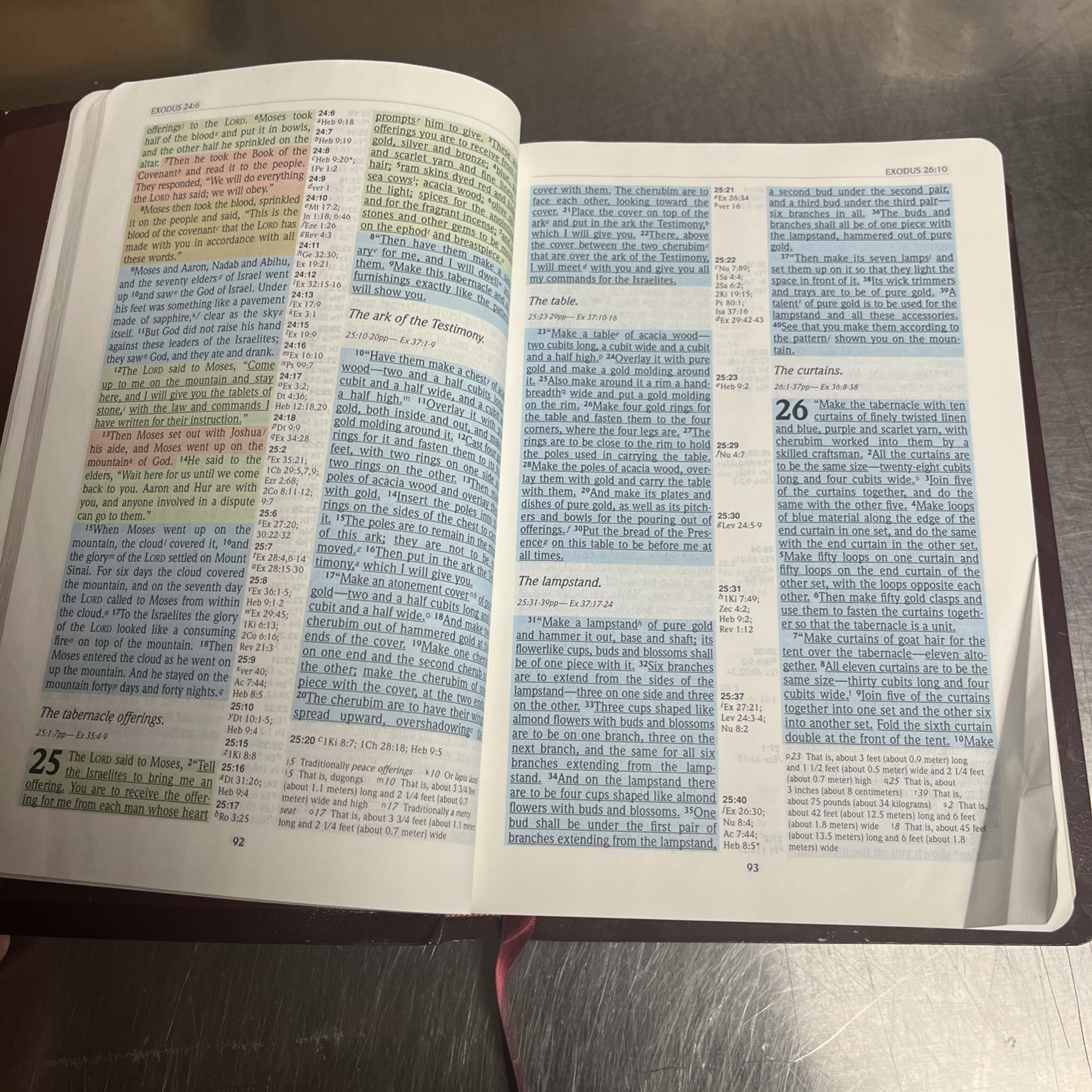 The NIV Rainbow Study Bible Bold Line Edition Illustrated English