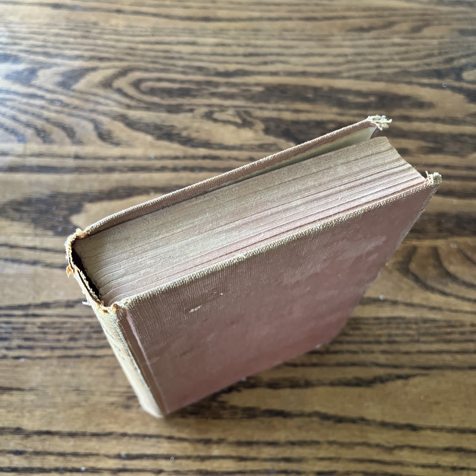 A LANTERN IN HER HAND Bess Streeter Aldrich Early Edition 1928 Grosset & Dunlap