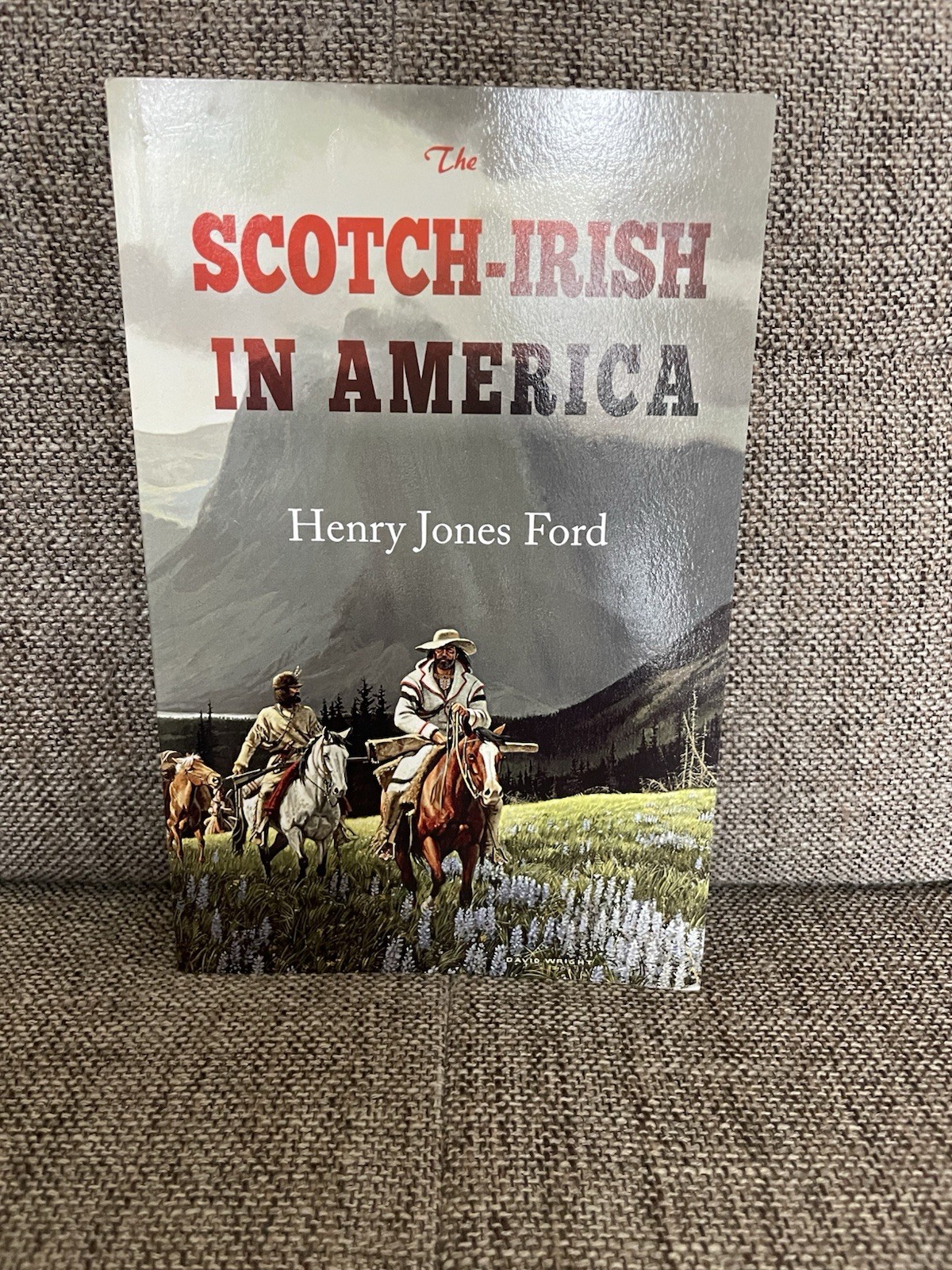 Scotch-Irish in America by Henry Jones Ford (2016, Trade Paperback)