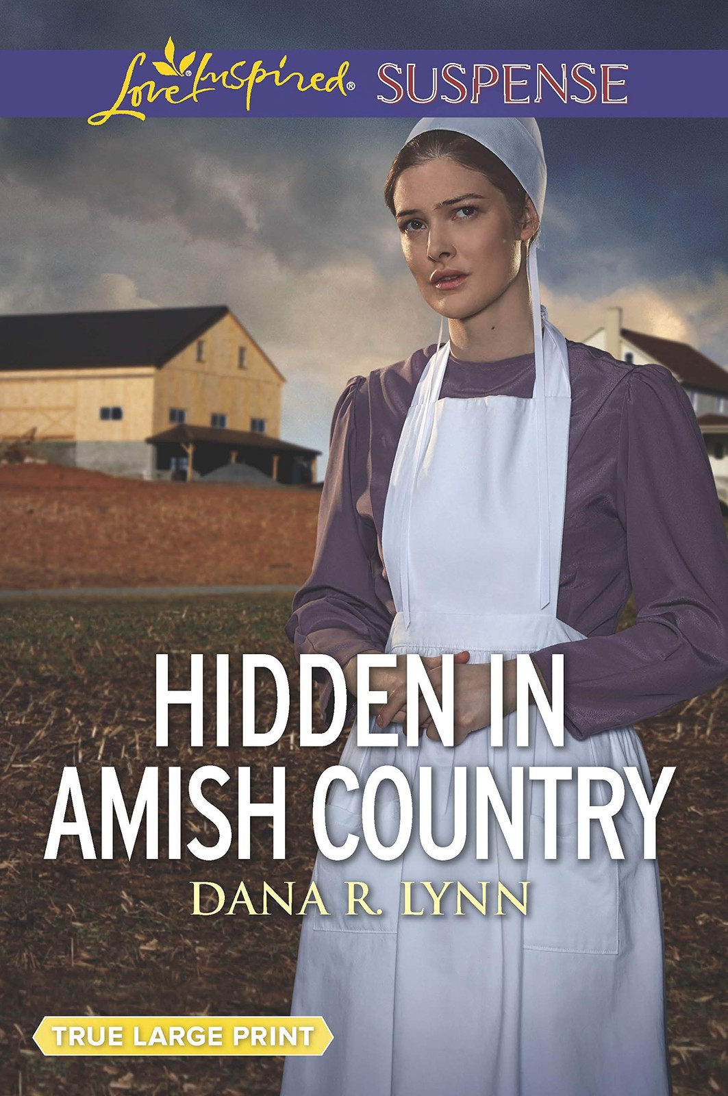 Hidden in Amish Country (Amish Country Justice, 7) – Lynn, Dana R. – Good – …