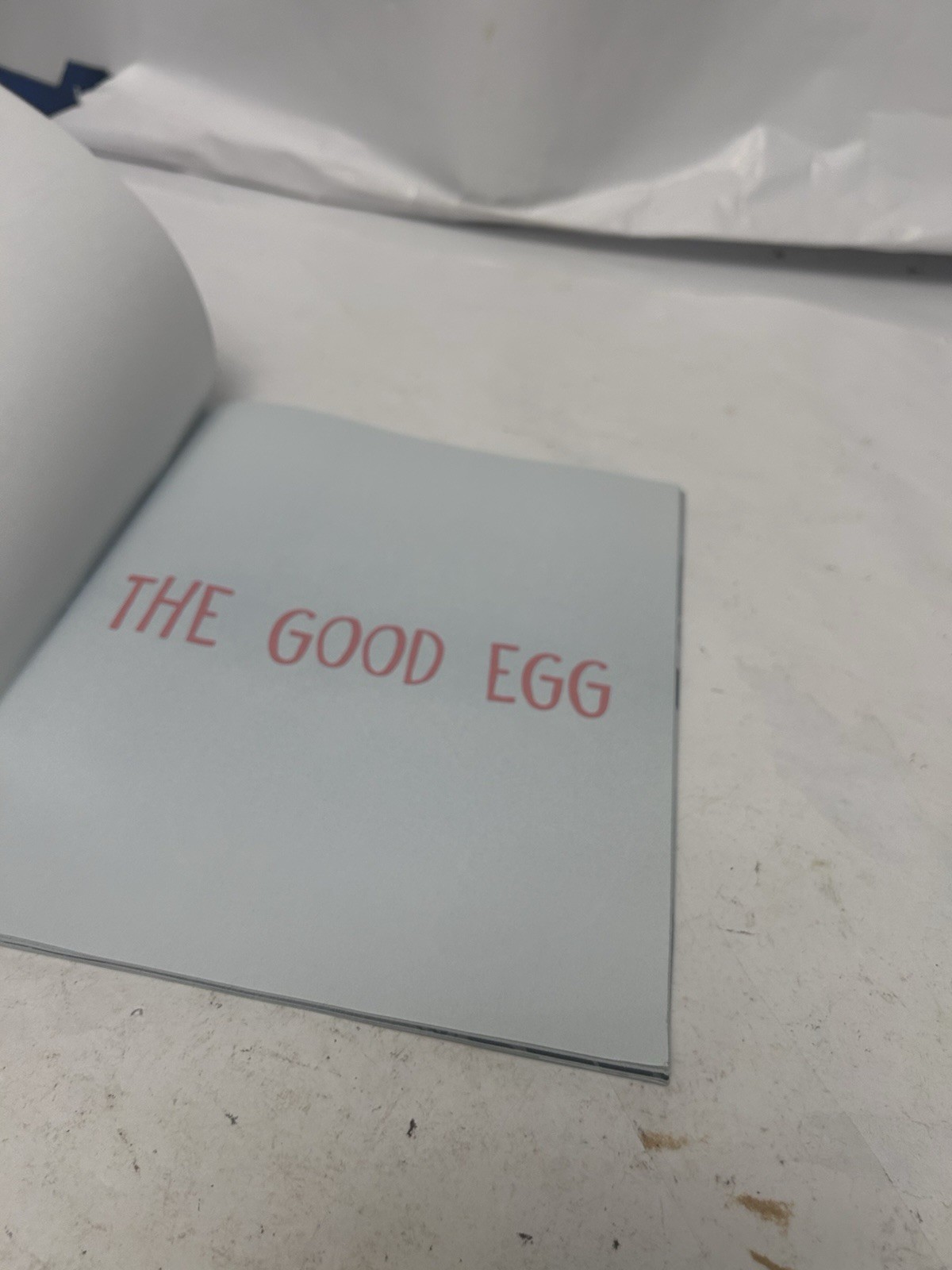 The Good Egg by Jory John & Pete Oswald SC c2019
