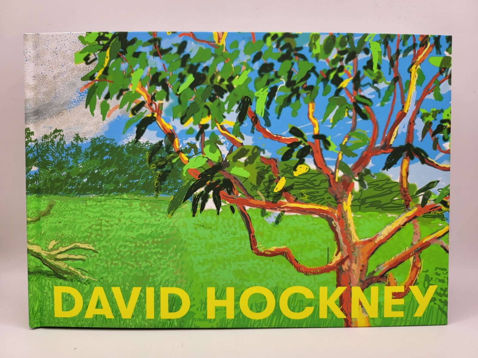 David Hockney Exhibition Official Catalogue 248 pages July 2023 Art Book Tokyo