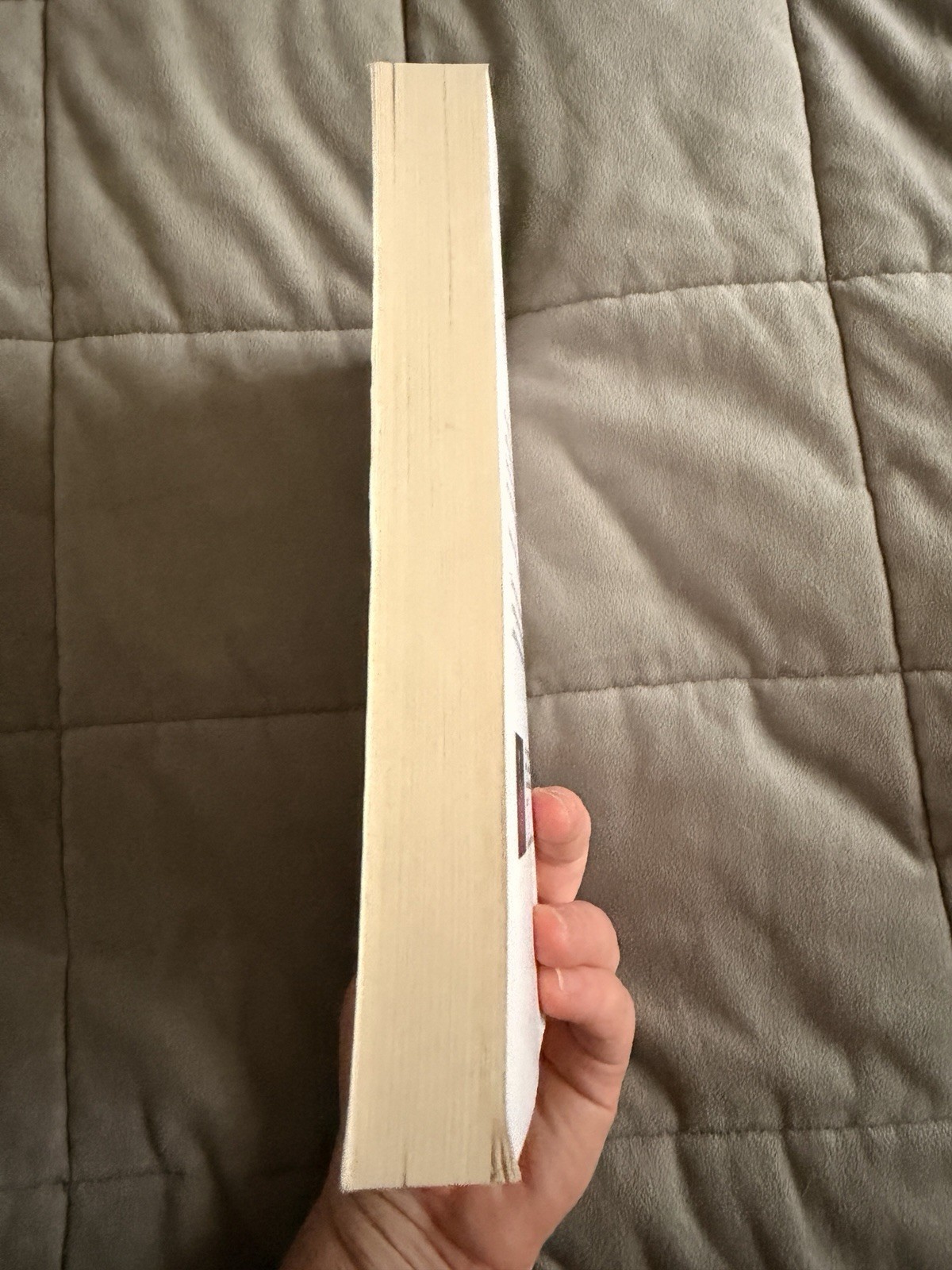 *Theo of Golden* By Allen Levi RARE SELF PUBLISHED 1st Edition Paperback