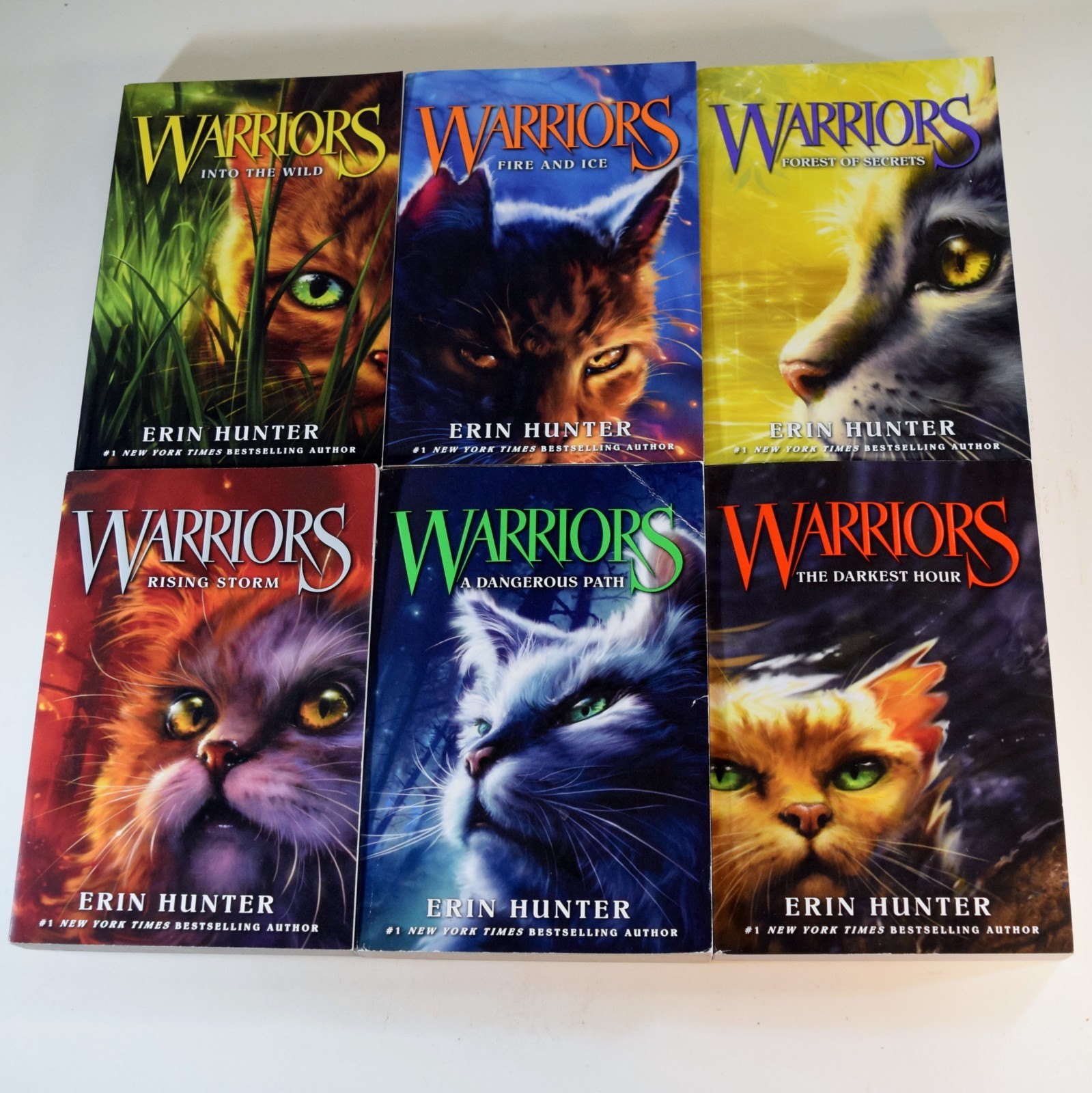 Warriors : Prophecies Begin Box Set : Volumes 1-6 : Complete Series Erin Hunter