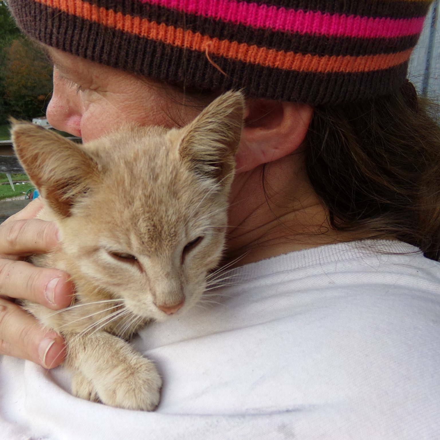 Marguerite Henry FIVE O CLOCK Charlie weekly book + help feed rescued animals
