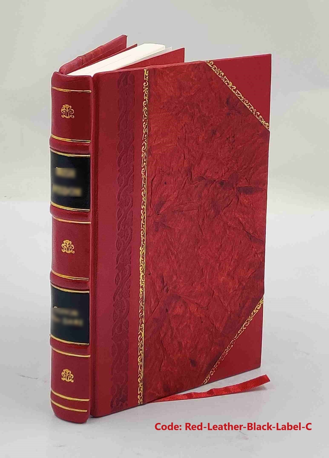 Adolf von Thadden-Trieglaff; ein Lebensbild gezeichnet nach Erin [Leather Bound]