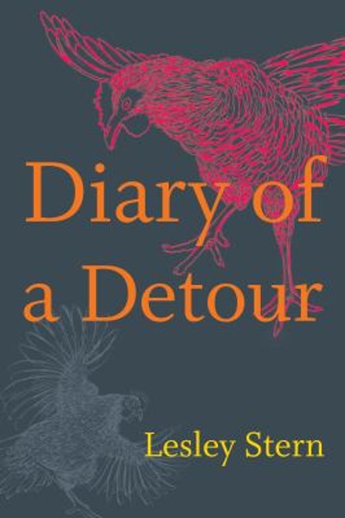 Diary of a Detour Paperback Lesley Stern