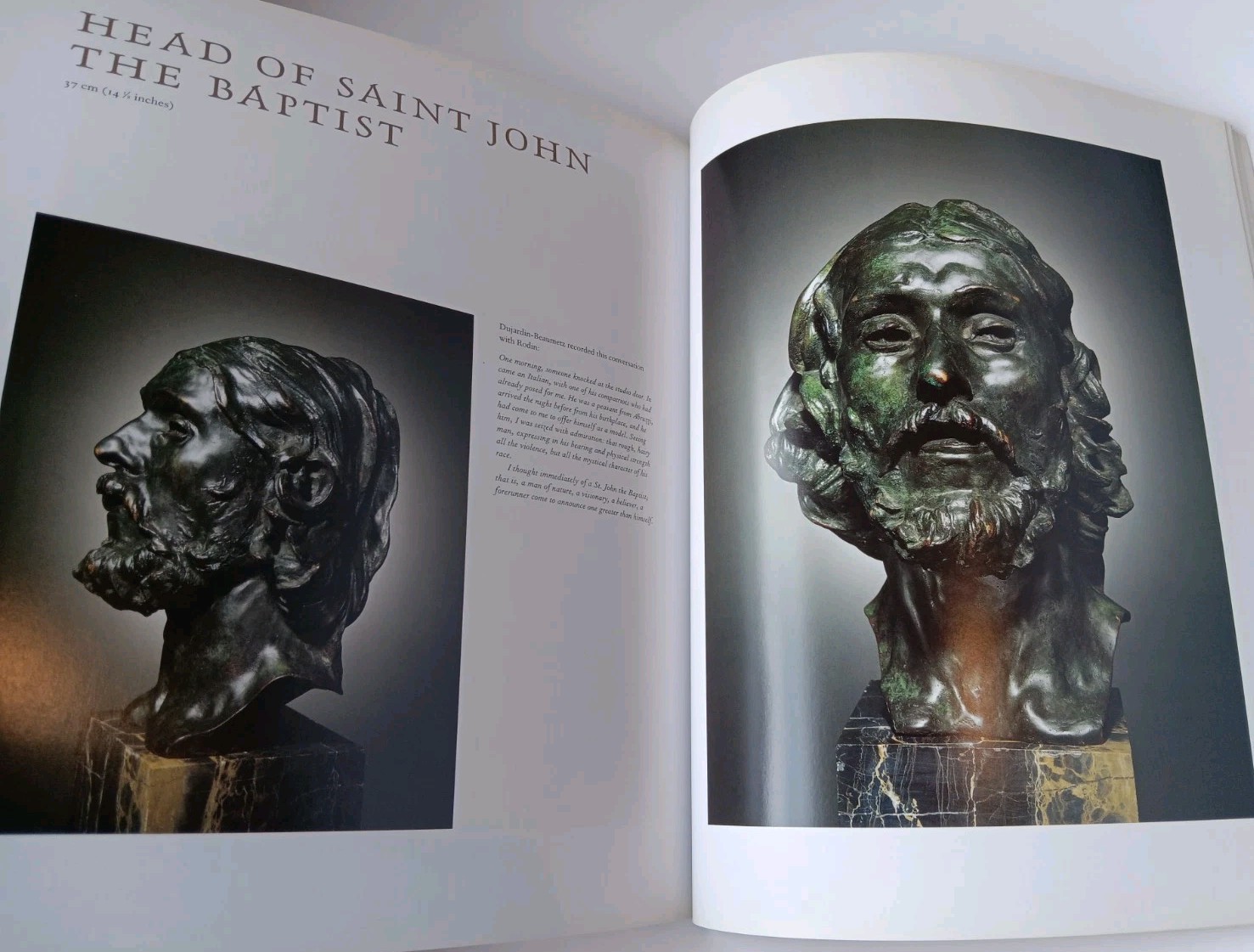 Rodin Plasters & Bronzes, Softcover, Beautiful Illustrations, 142 Pages