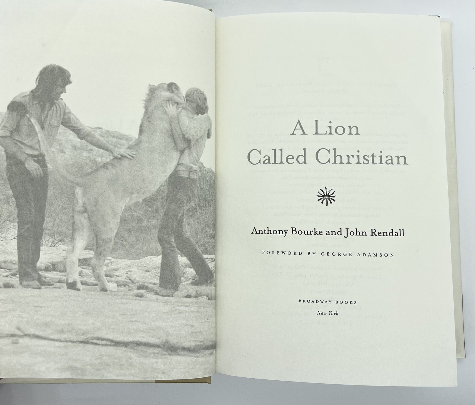 A Lion Called Christian By A Bourke & J. Rendall ~ 2009 Hardcover/DJ