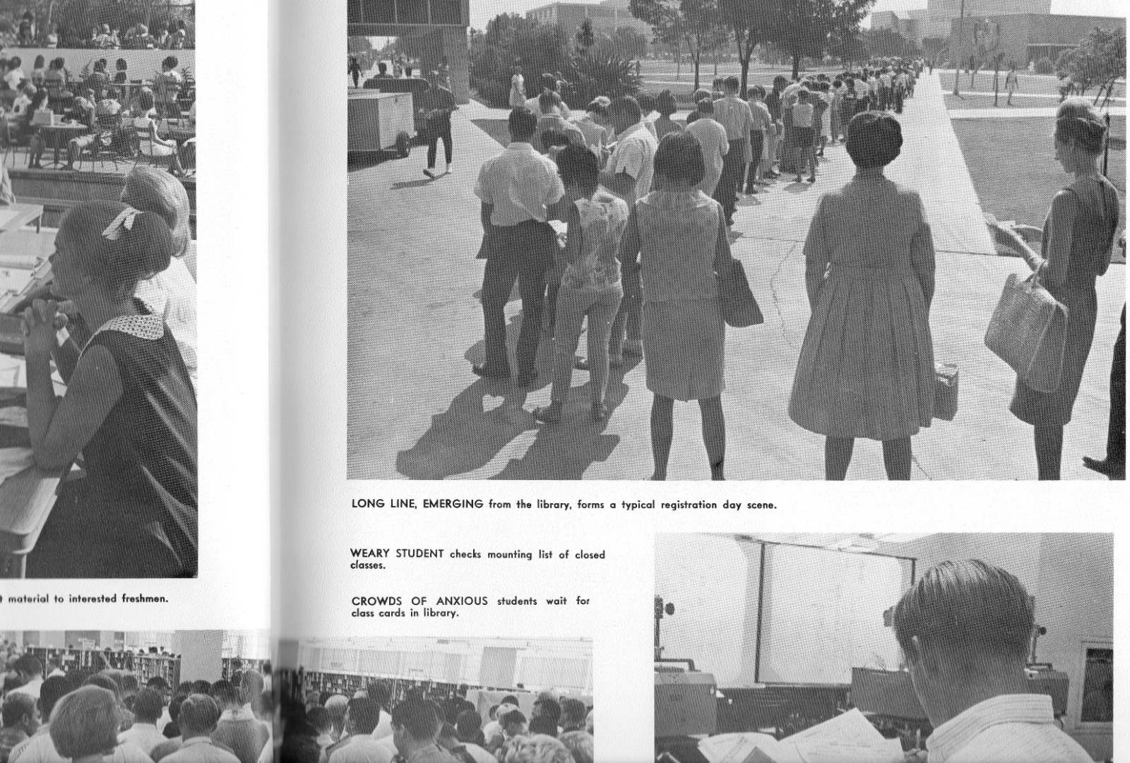 California State College Long Beach, Prospector Yearbook 1966 STEVEN SPIELBERG