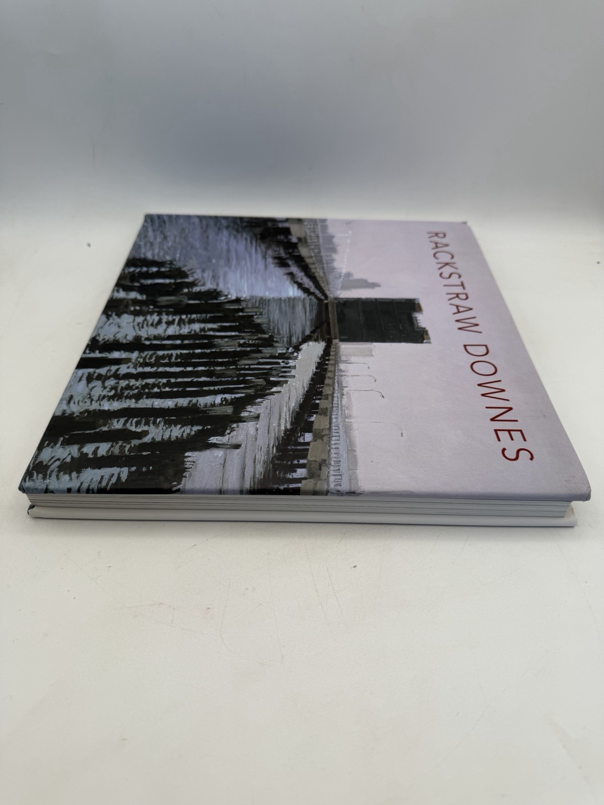 Rackstraw Downes Schwartz Storr Princeton University Press Hardcover DJ 2005