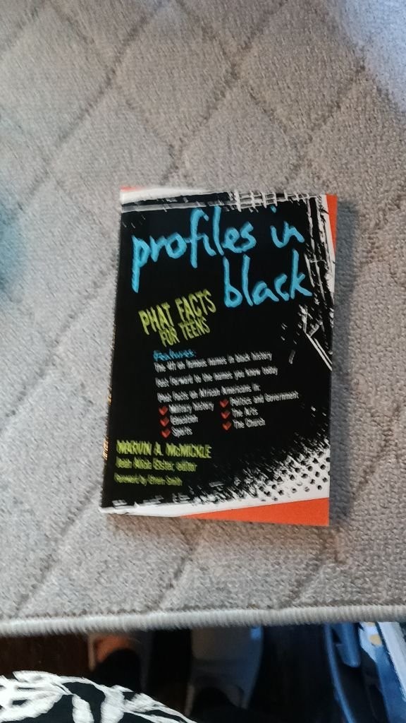 Profiles in Black Marvin Andrew McMickle Judson Press (2008) Paperback [VG]