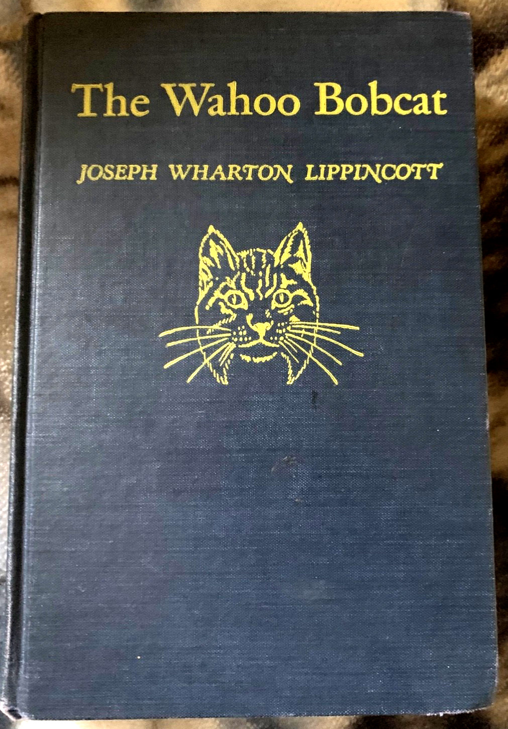 Wahoo Bobcat by Joseph W. Lippincott (Hardcover) – Vintage 1st Edition 1950