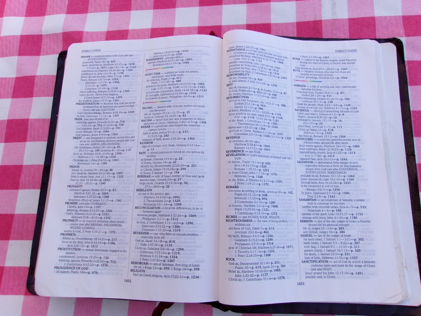 THE NIV RAINBOW STUDY BIBLE NEW INTERNATIONAL VERSION