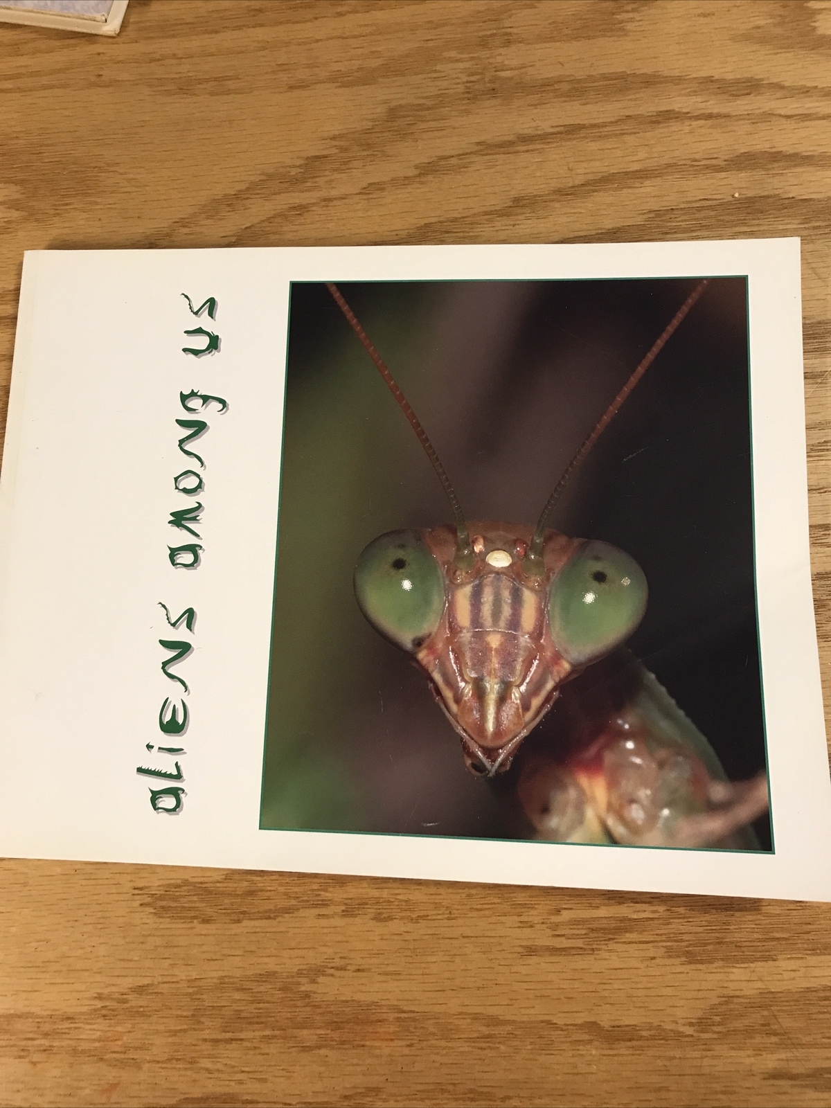 Aliens Among Us: A Book of Insect Portraits by Susan E. Ellis