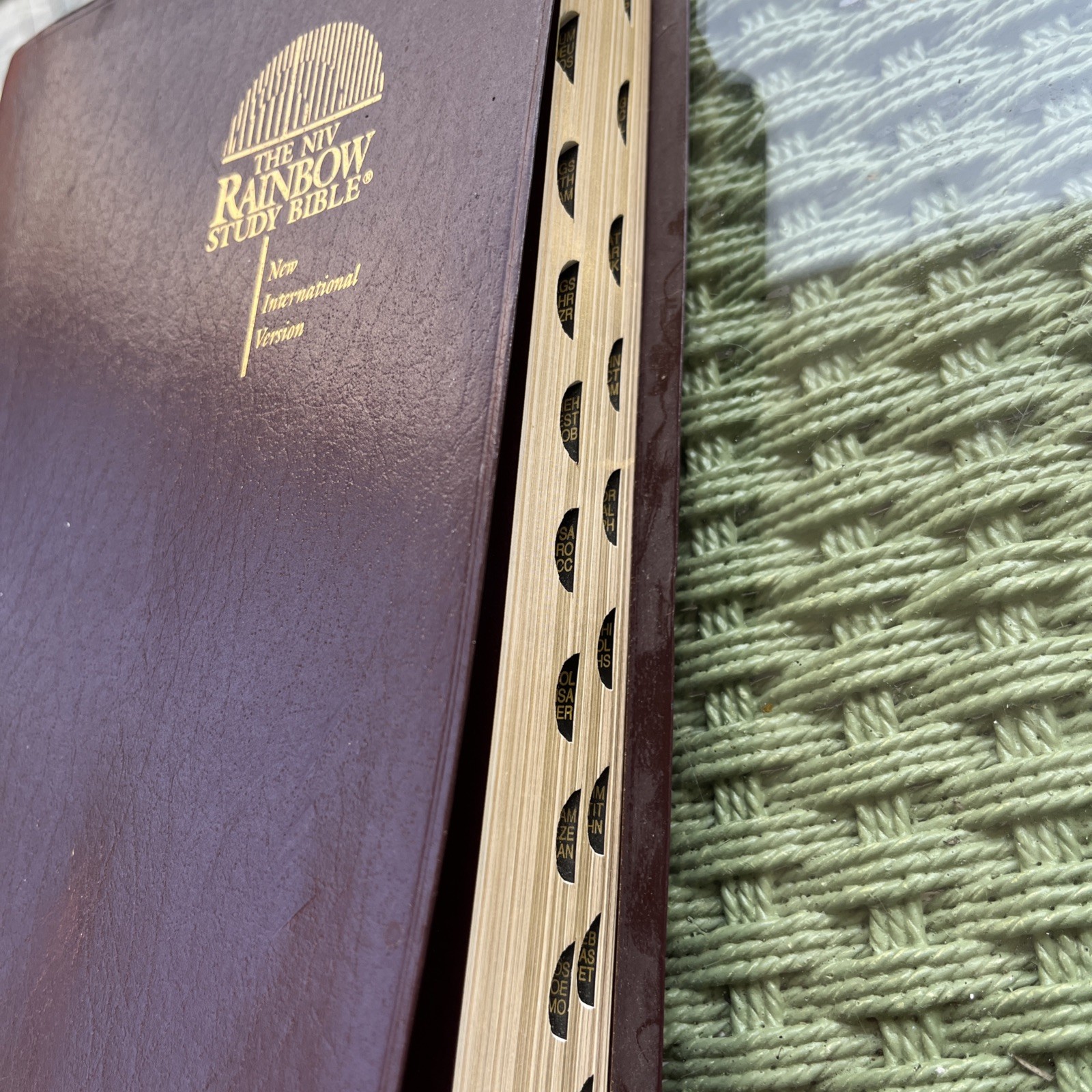 Rainbow Study Bible NIV New International Version Genuine Bon Leather Zig Ziglar