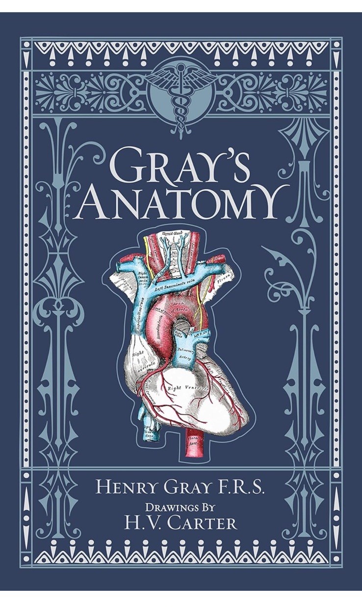 Gray’s Anatomy Blue Leather Bound Hardcover Book by Henry Gray H.V. Carter