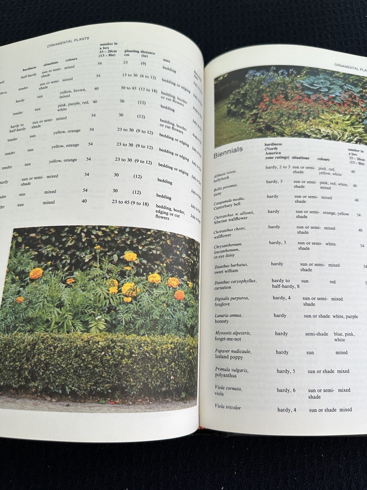 Practical Gardening Encyclopedia by Roy Hay – 1977 Hardcover