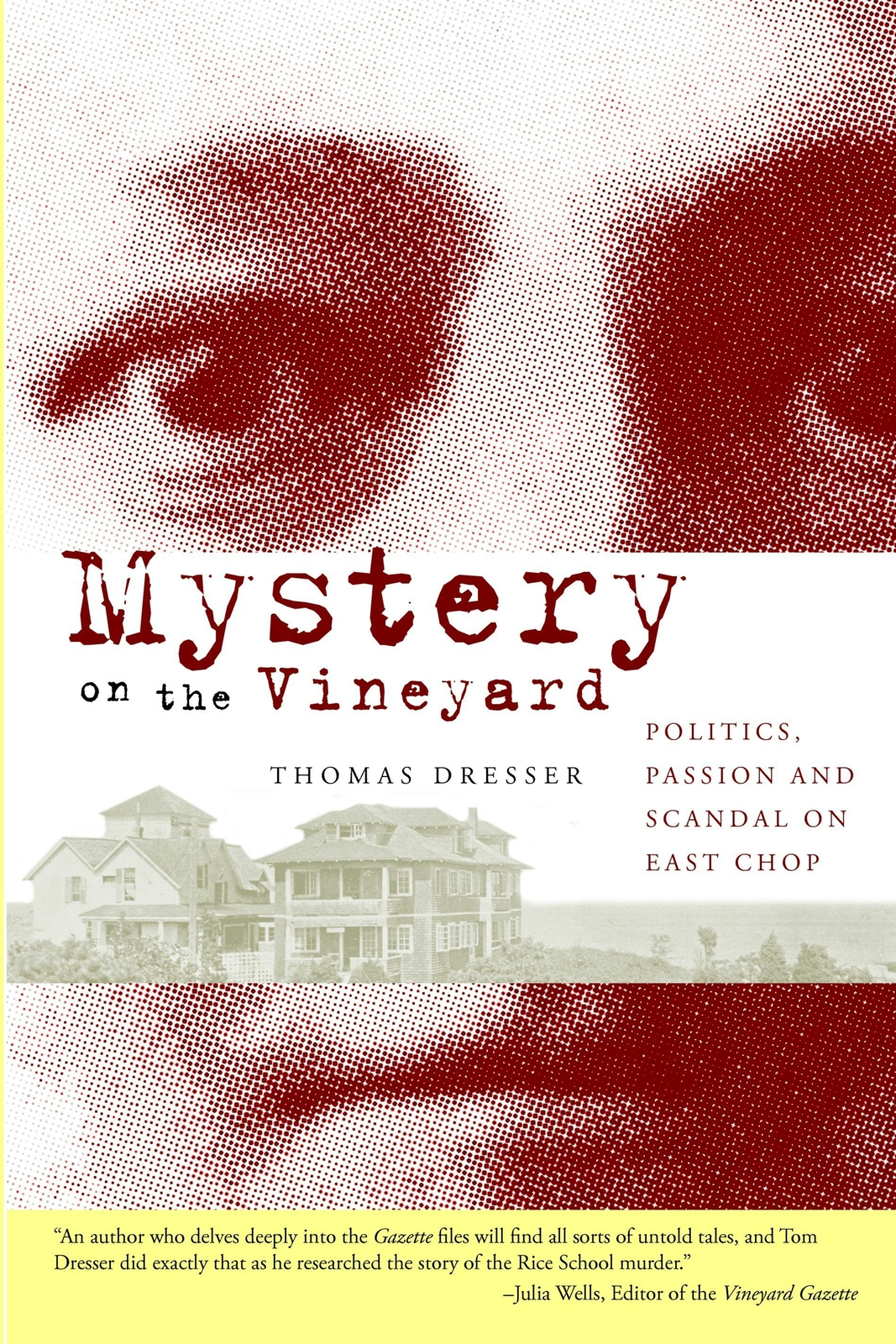NEW The History Press Mystery on the Vineyard, MA 9781596294233 True Crime Trade
