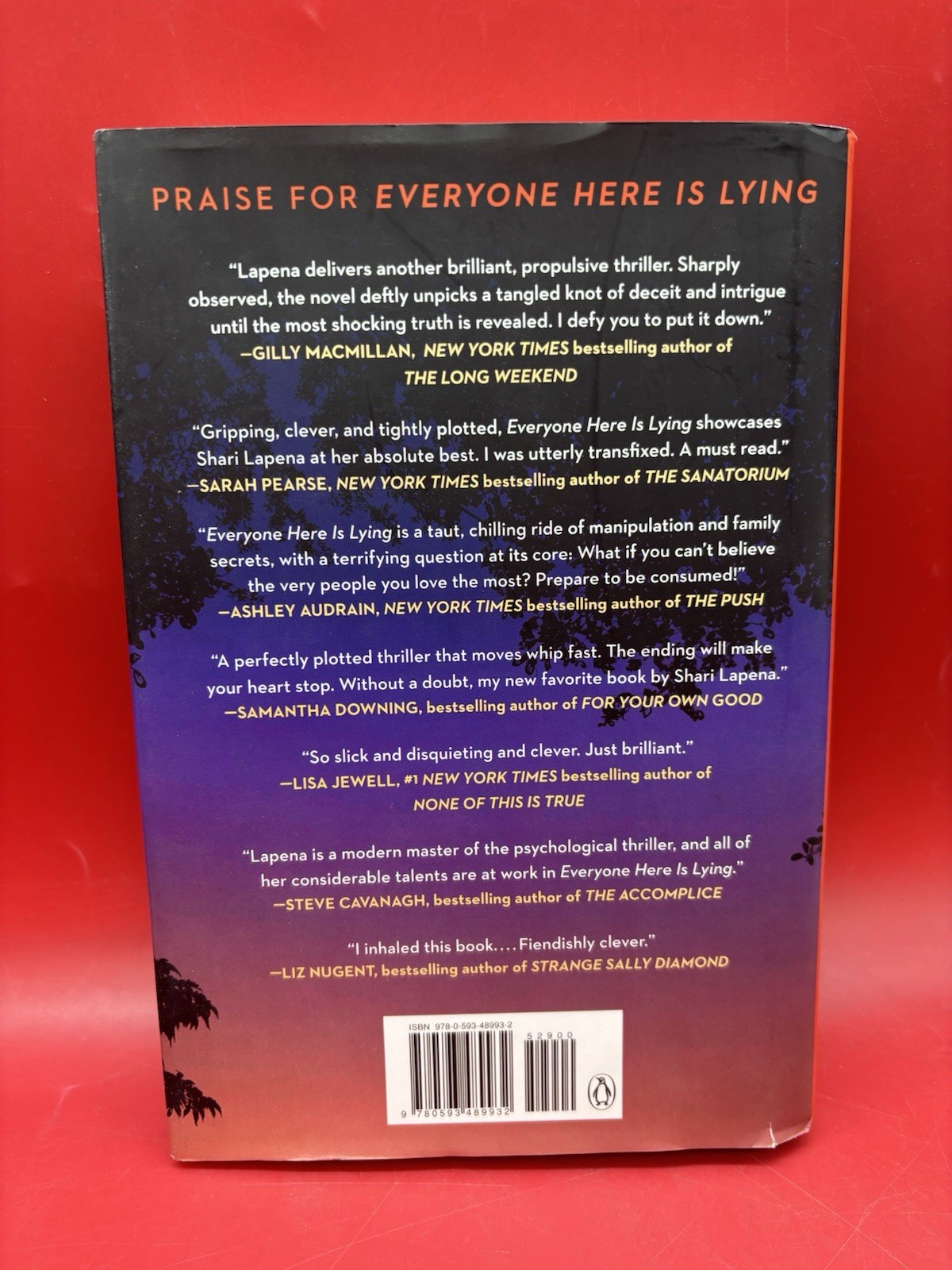 Everyone Here Is Lying : A Novel by Shari Lapena (2023, Hardcover)