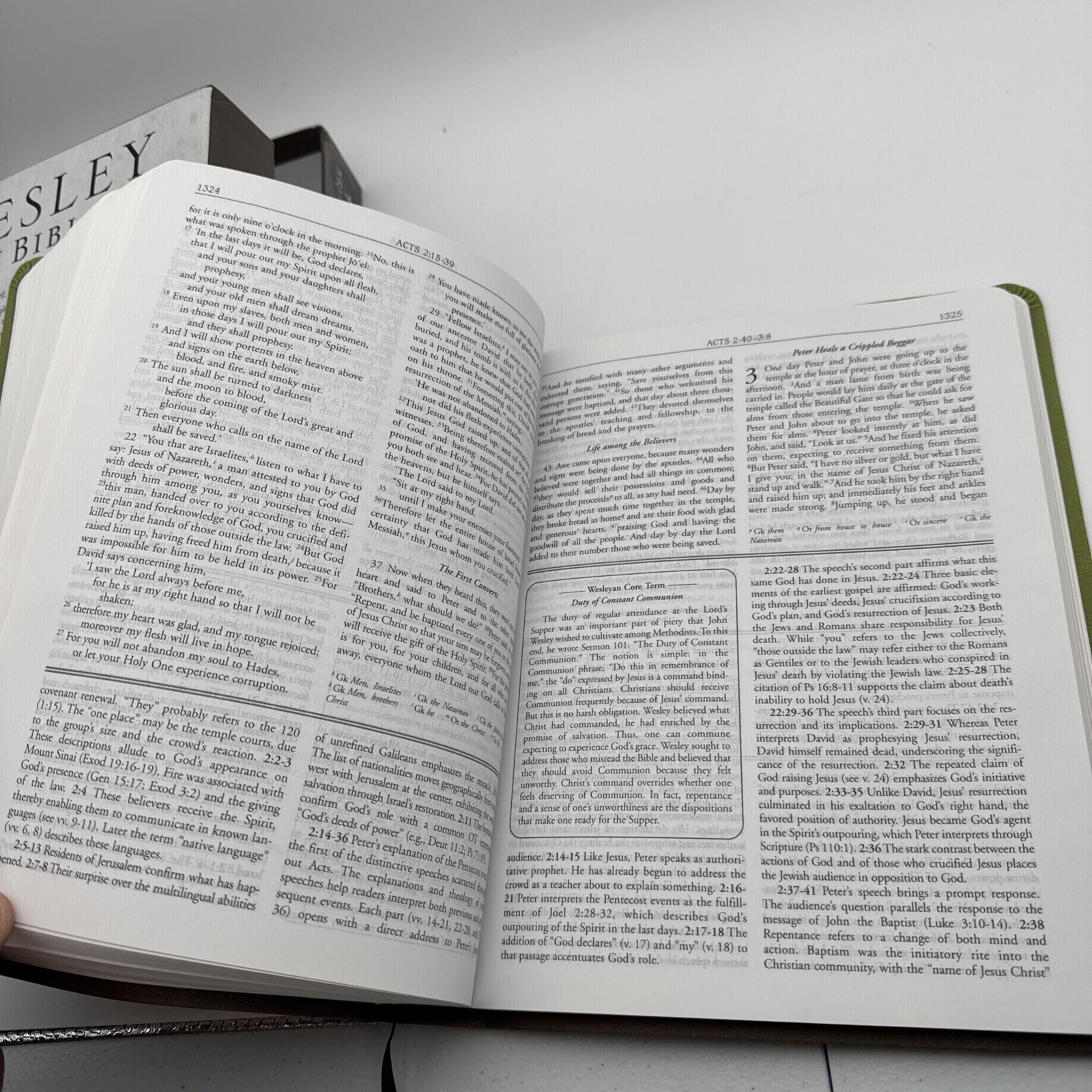 NRSV Wesley Study Bible: Sage Thicket Decotone by Joel B.Willimon, Willia Green
