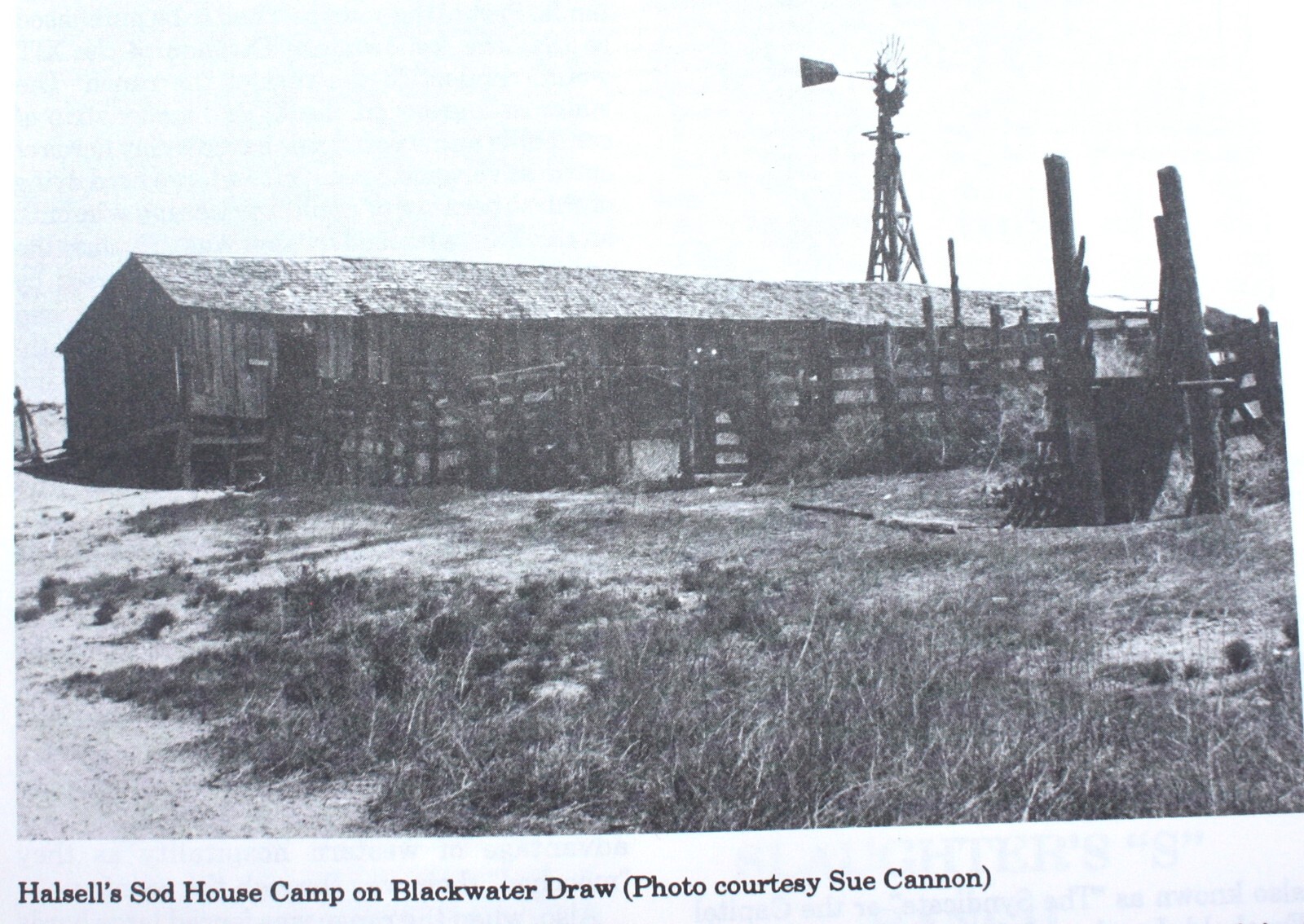 Lamb County, Texas  a Heritage 550 clean pages Mardema Ogletree, director
