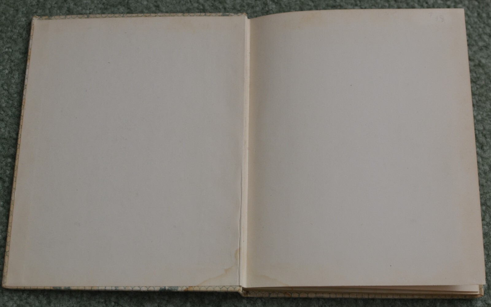 Nannette & Baby Monkey~Josephine Scribner Gates~vintage~1914~illustrated~RARE VG