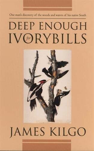 Deep Enough for Ivorybills by James Kilgo: Used