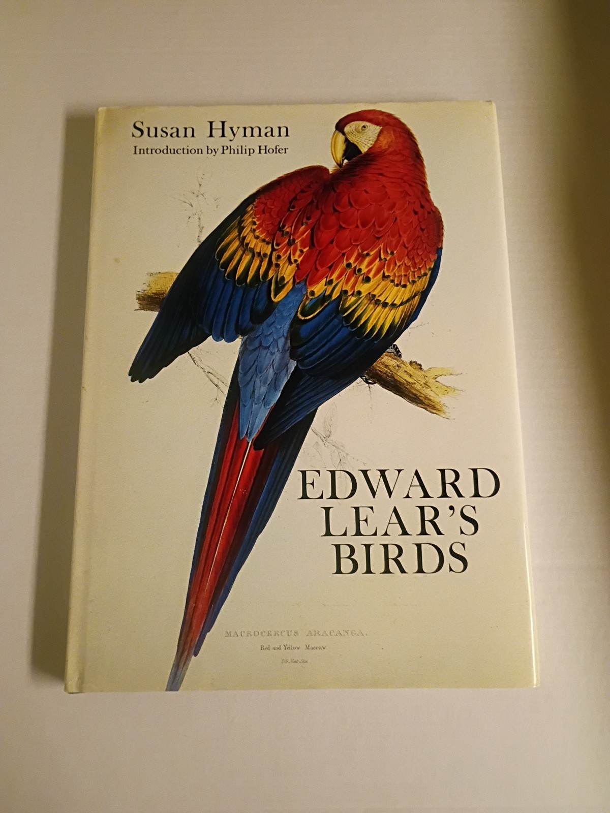 Edward Lear’s Birds by Susan Hyman – Hardcover 1980- Oversized