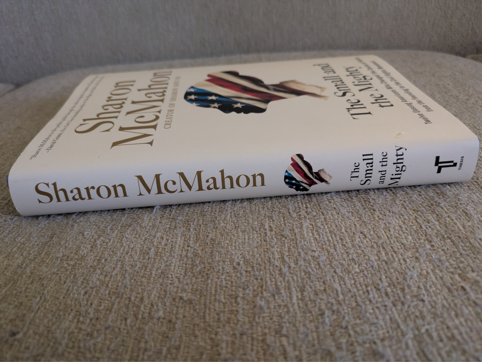 Small and the Mighty | Sharon McMahon | 2024 HC | 1st Edition | Civil Rights!