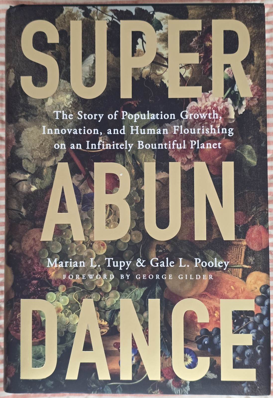 Superabundance: The Story of Population Growth, Innovation, and Human Flourishin