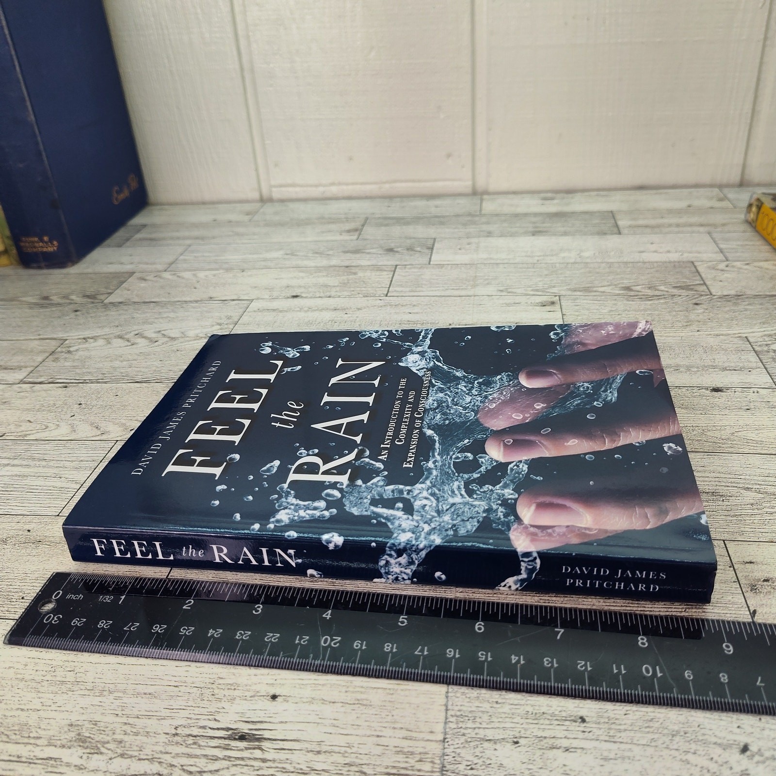 Feel the Rain David James Pritchard 2021 BookBaby Trade Paperback Consciousness