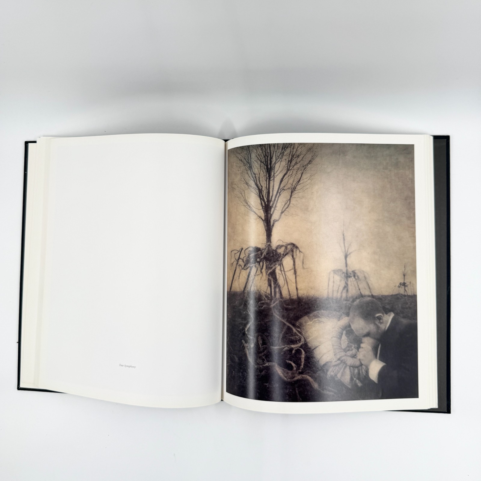 Robert ParkeHarrison THE ARCHITECT’S BROTHER signed first edition (2000)