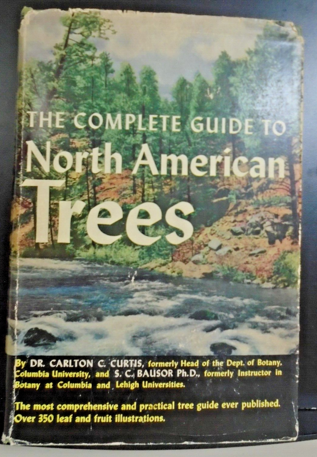 1943 The Complete Guide to North American Trees 350 Illustrations HC/DJ