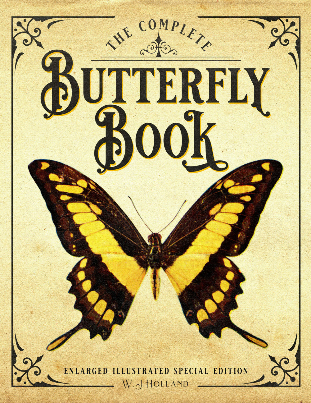 The Complete Butterfly Book: Enlarged Illustrated Special Edition *BRAND NEW*