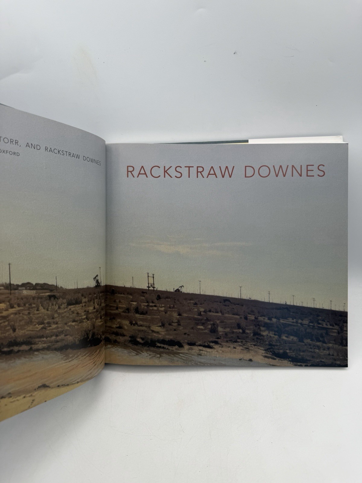 Rackstraw Downes Schwartz Storr Princeton University Press Hardcover DJ 2005