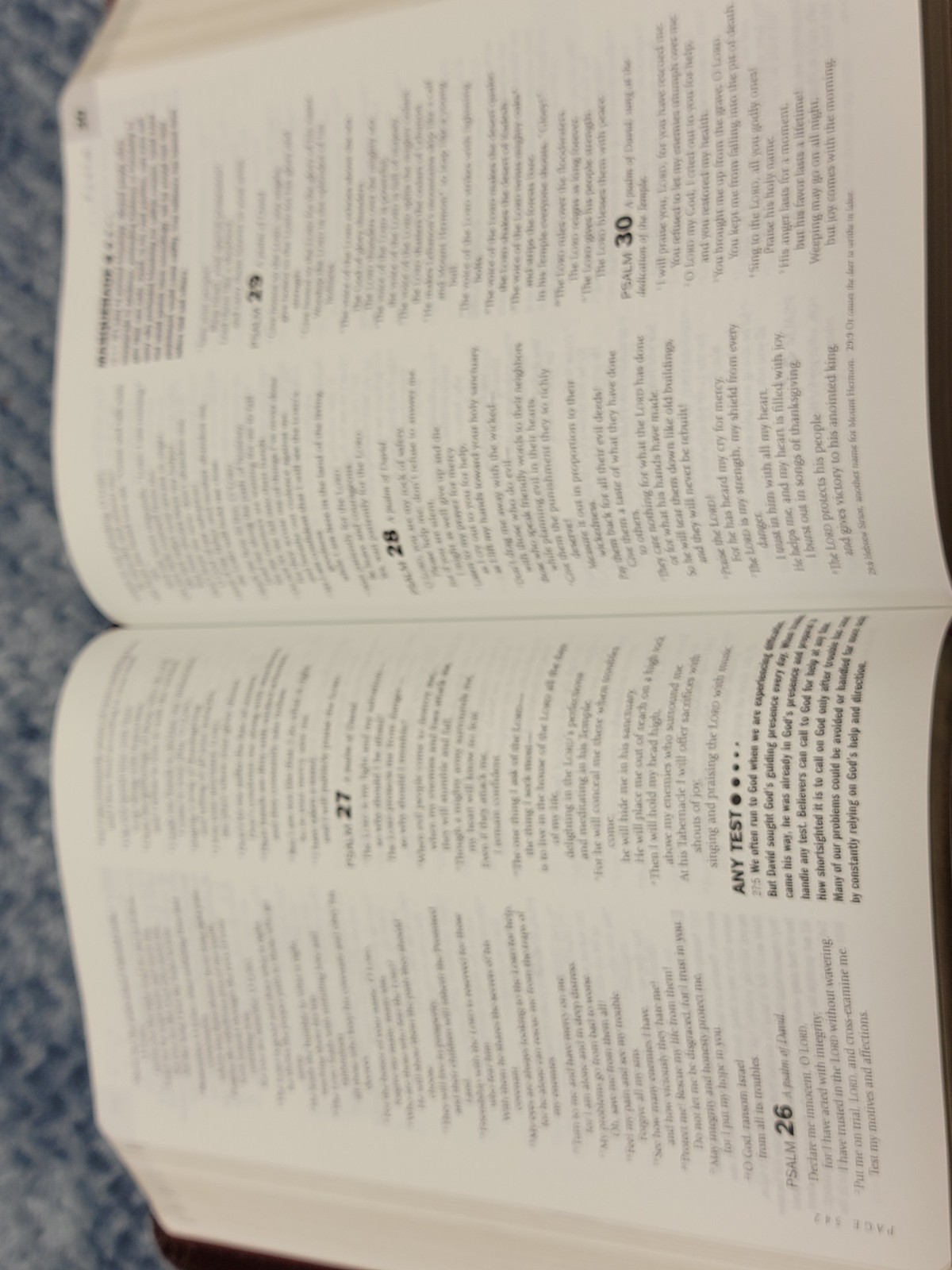 Life Application Study Bible New Living Translation Tyndale Burgundy Book