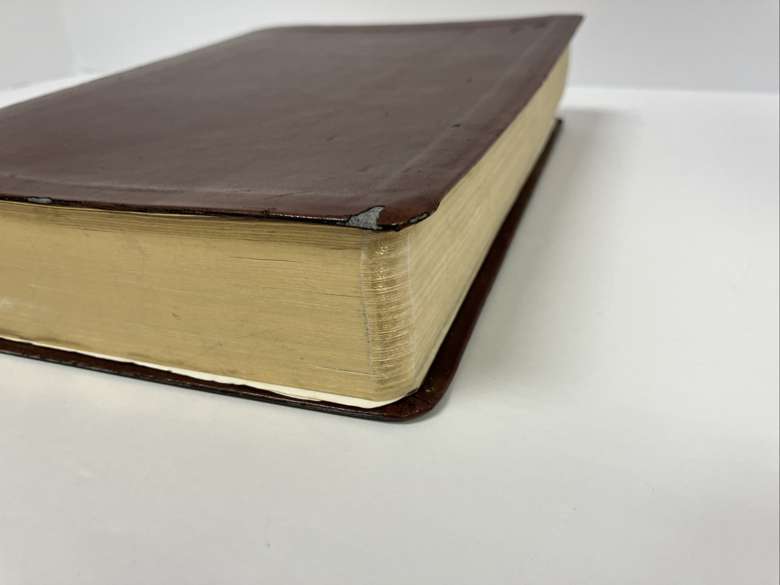 Life Application Study Bible Tyndale New Living Translation Burgundy Letter