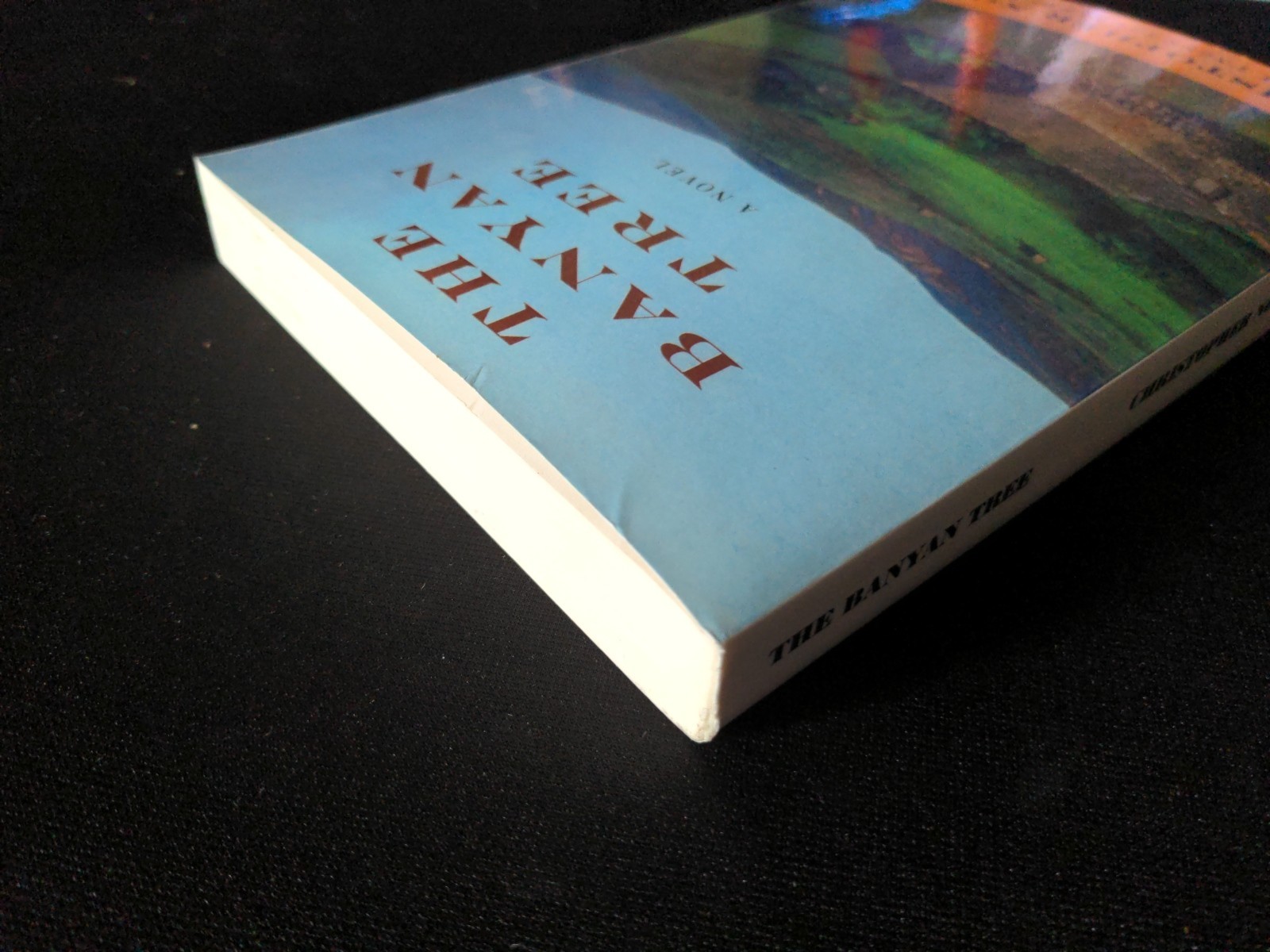 Uncorrected Proof – The Banyan Tree by Christopher Nolan 2000 PB ARC