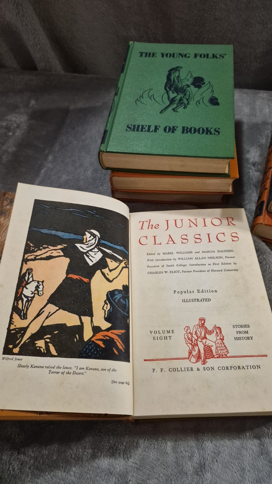 Collier’s The Junior Classics: The Young Folks Shelf of Books Set 6 Hardback OBO