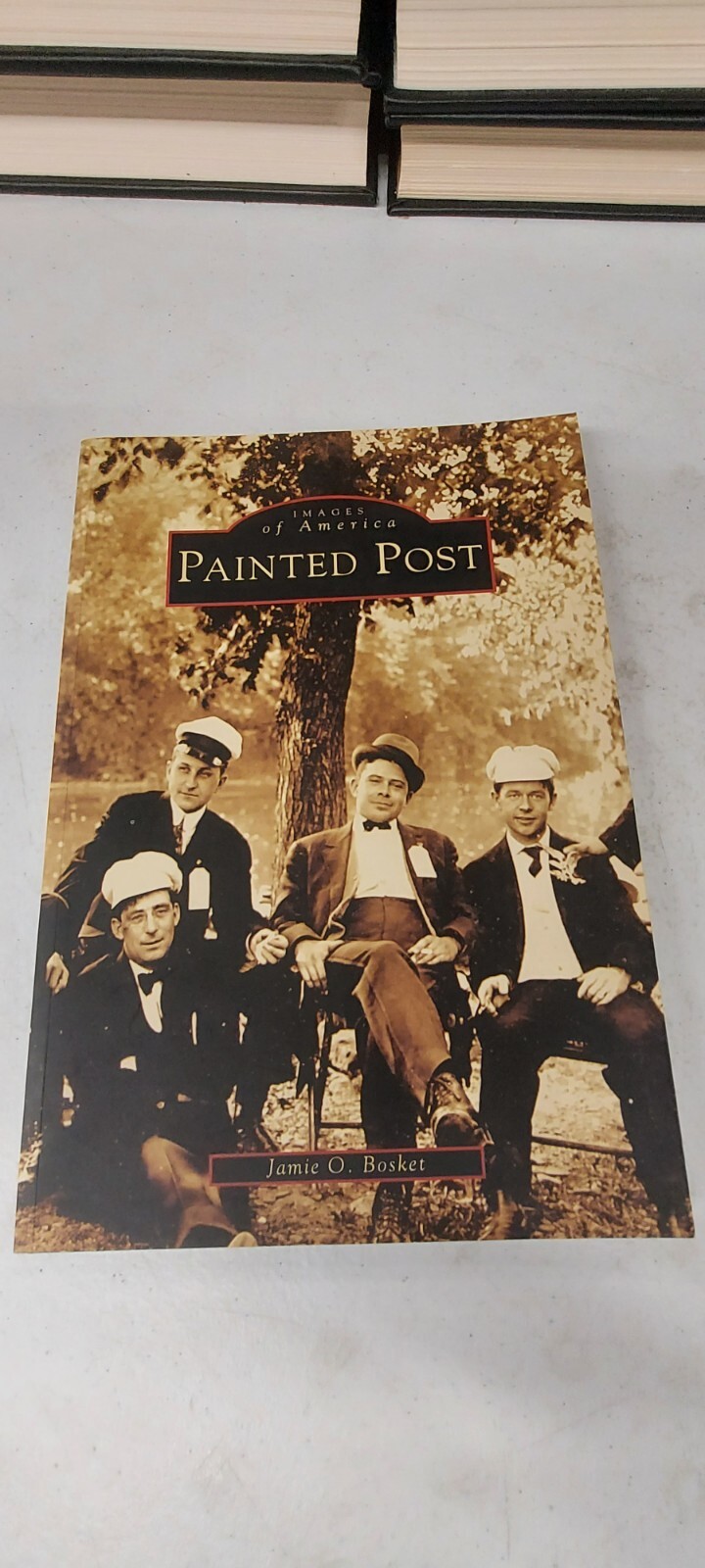 Images of America Ser.: Painted Post by Jamie O. Bosket (2005, Trade Paperback)