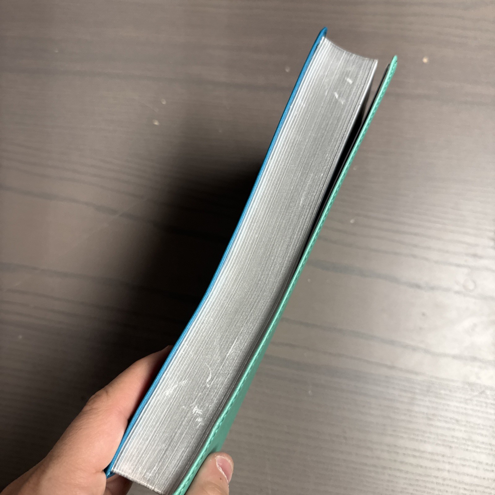 Holman Rainbow Study Bible CSB Two Tone Teal Blue Color