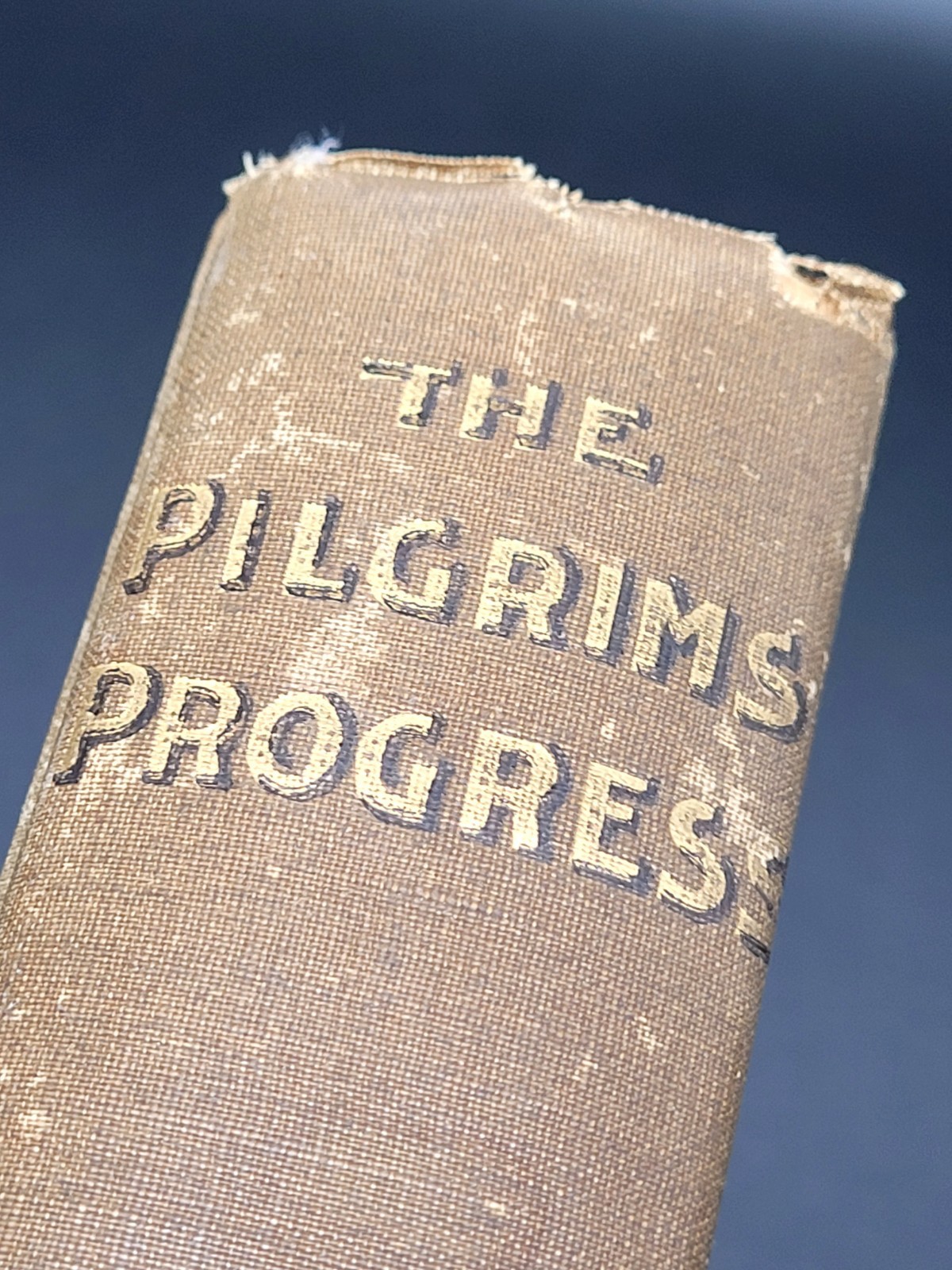 ATQ 1900 The Pilgrim’s Progress By John Bunyan Illustrated Fred Barnard Book