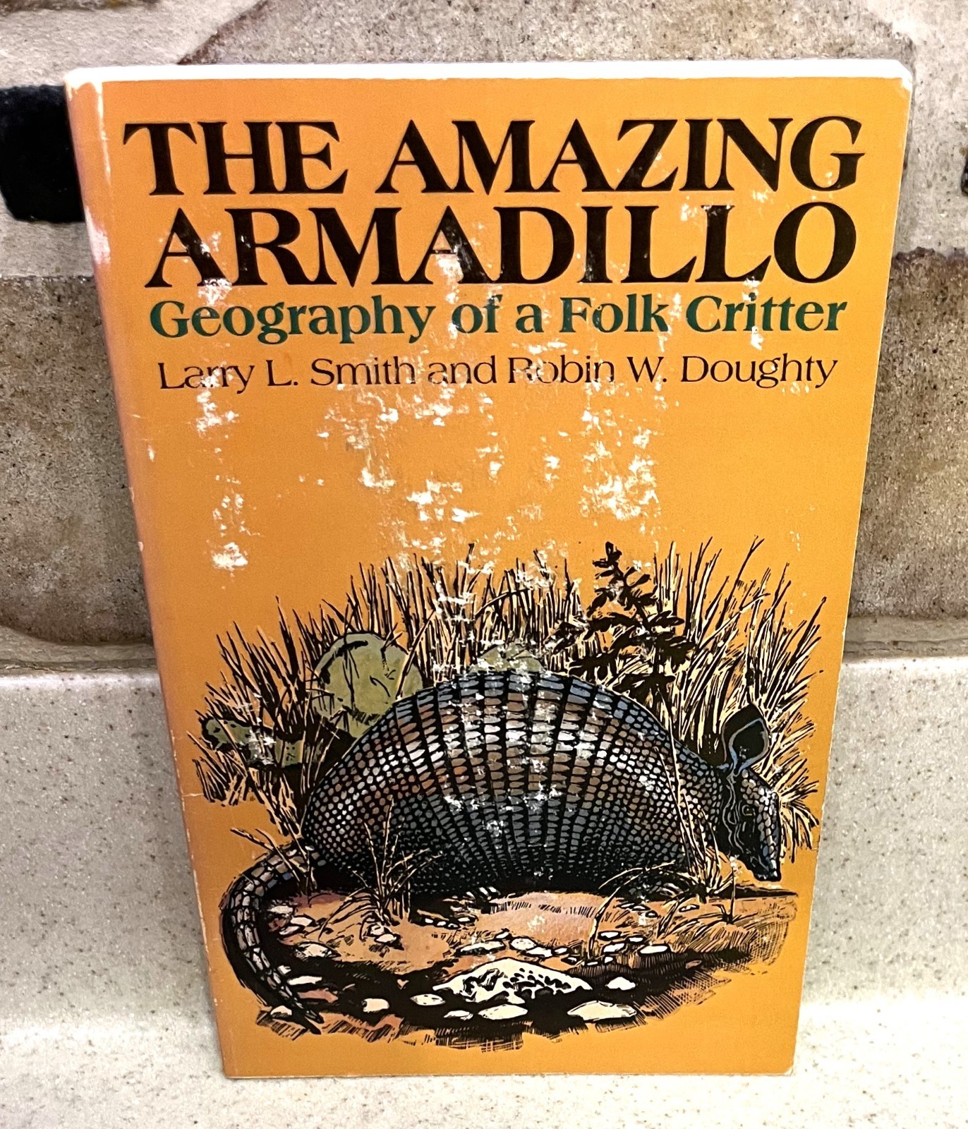 THE AMAZING ARMADILLO-Geography of a Folk Critter-Smith & Doughty-SUPERB 1st!