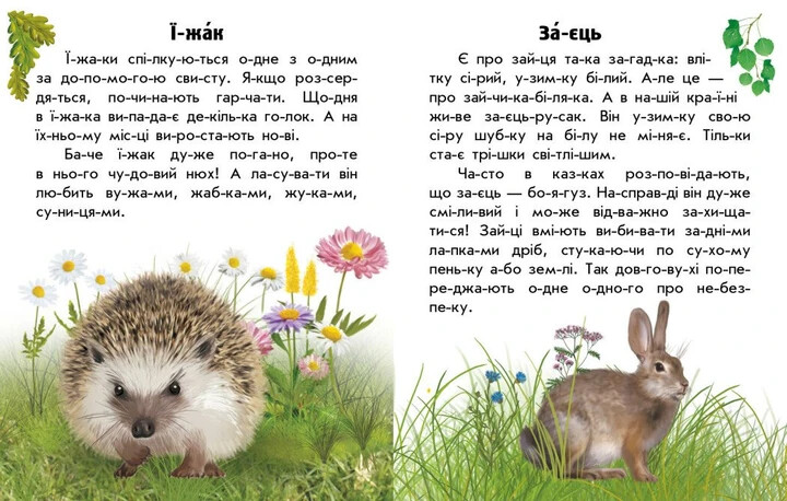 Тварини лісів. Читаю про Україну Book in Ukrainian