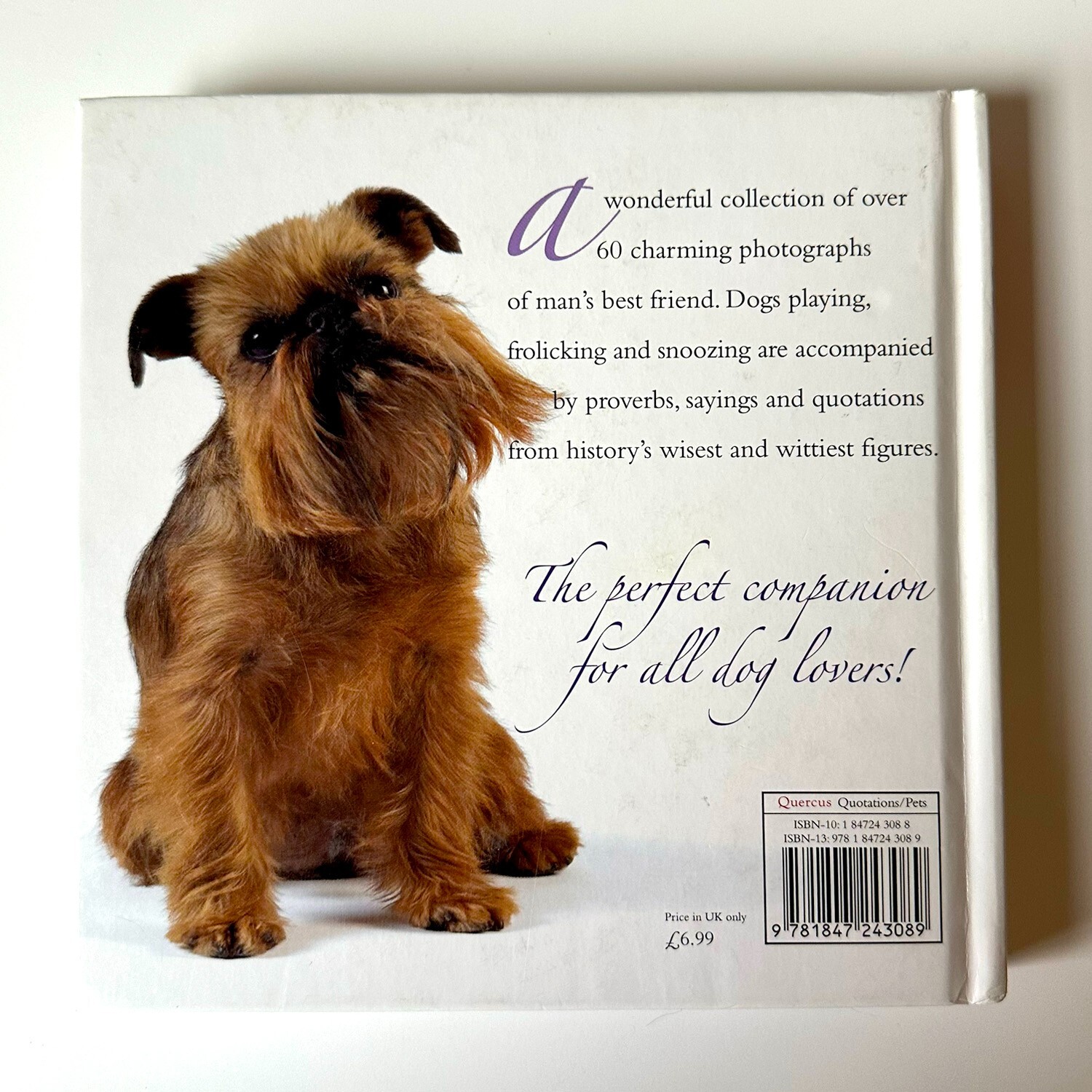 Huggable Hounds: A Dog Lover’s Treasury, Quercus Publishing 2007 Hardcover Book