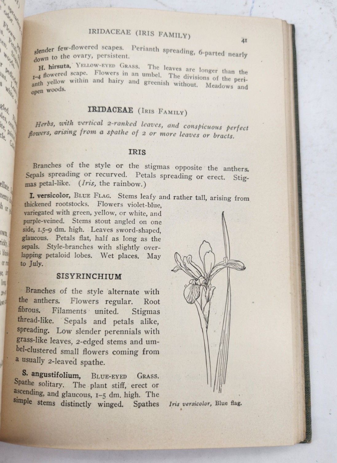 A Spring Flora for High Schools, 1915, HB, Illustrated, by Cowles & Coulter