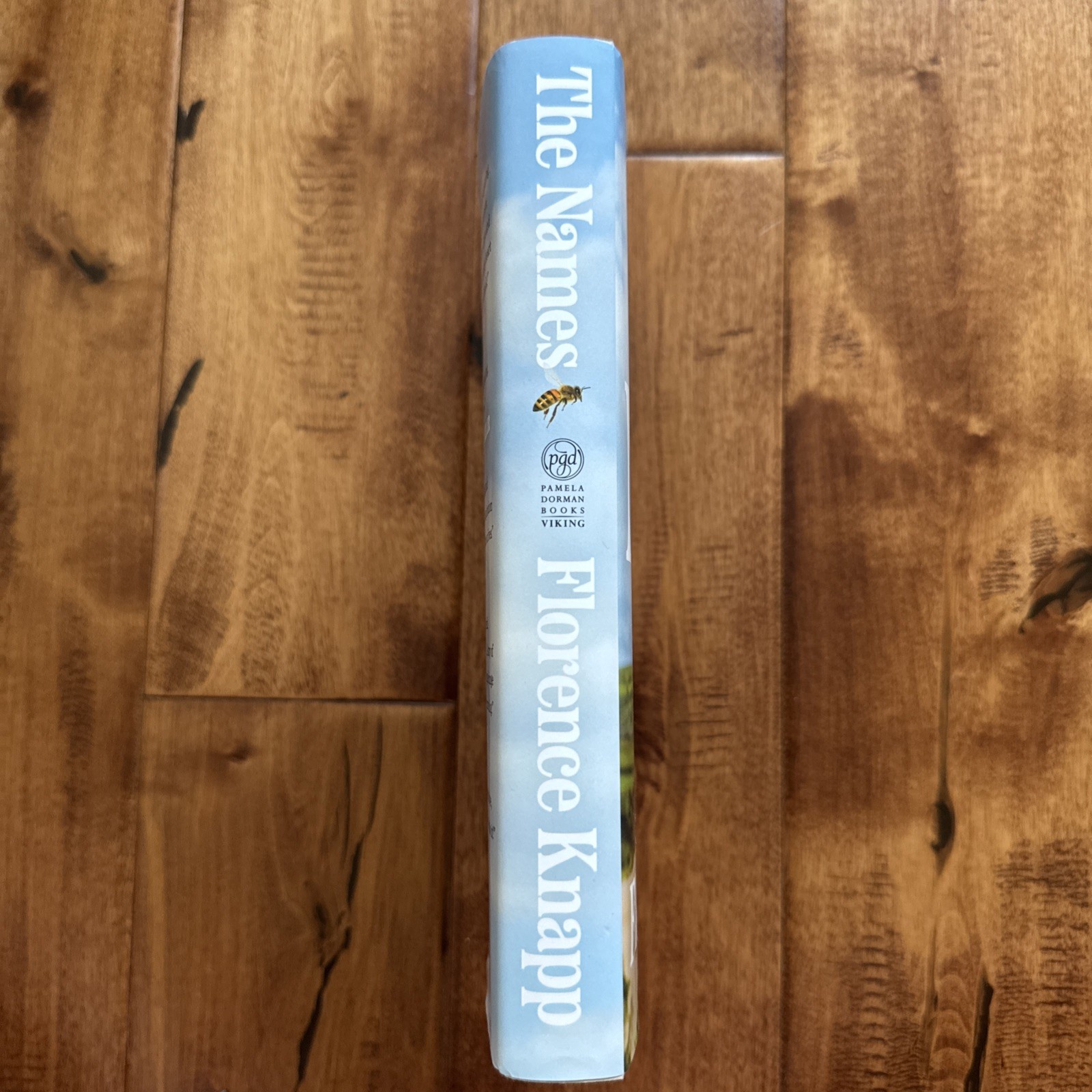 The Names A Novel – VERY GOOD
