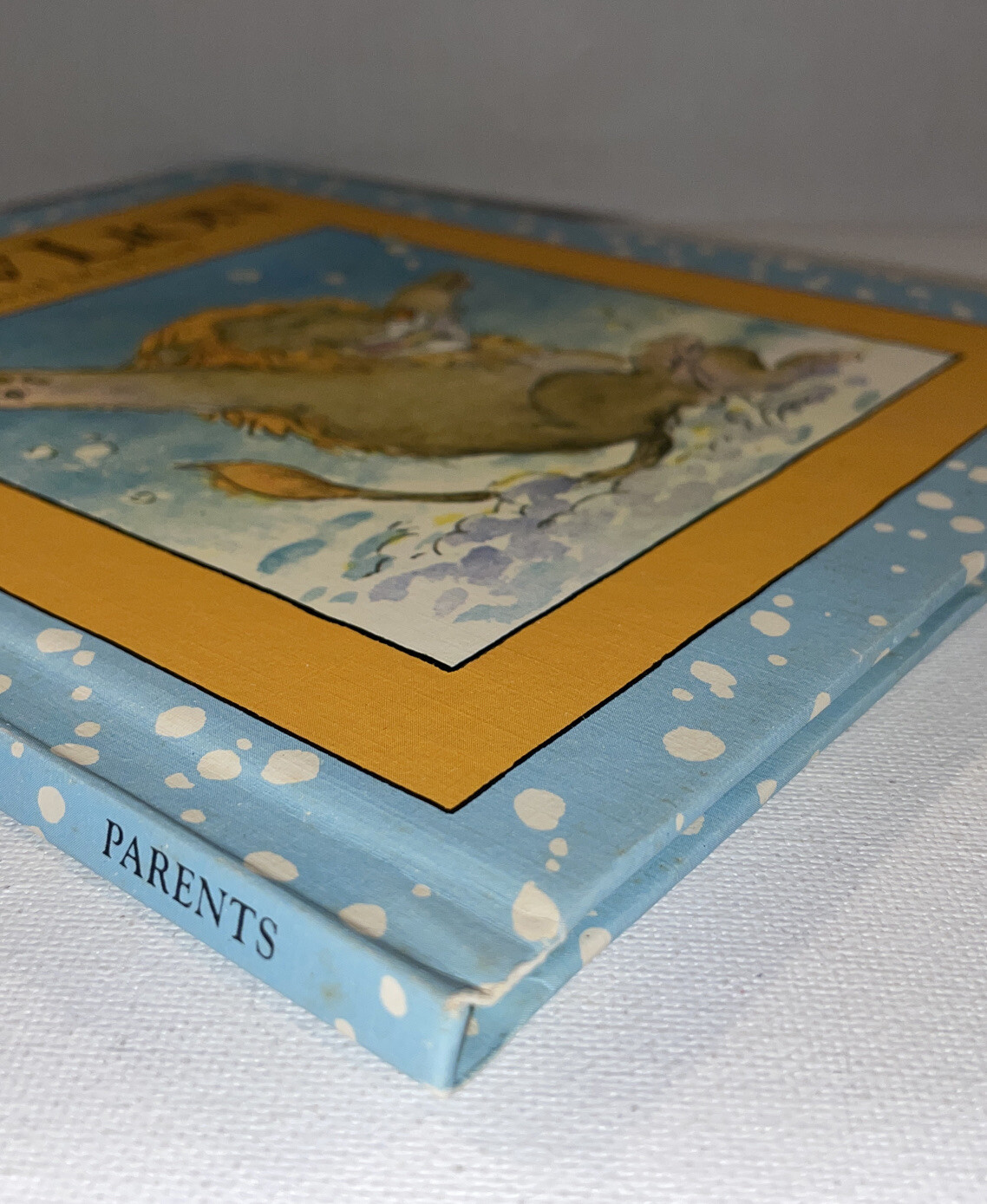 VTG Snow Lion Hardcover David M. McPhail Parents Magazine Press 1982 Read Aloud